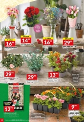 Hit cenowy - Twój Market