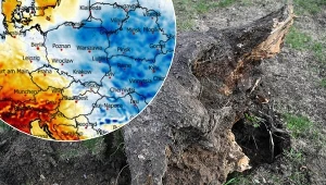 Groźna pogoda w Polsce. Ostrzegają przed niebezpiecznym zjawiskiem