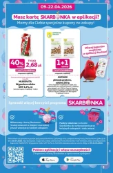 Strefa ogród - Auchan Hipermarket