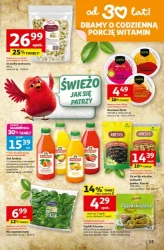 Strefa ogród - Auchan Hipermarket