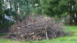 Co grozi za palenie gałęzi na działce?