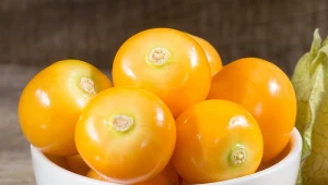 Złote owoce na dobry wzrok i odporność. Nazywane są superfood 