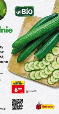 Ogórek GoBio
