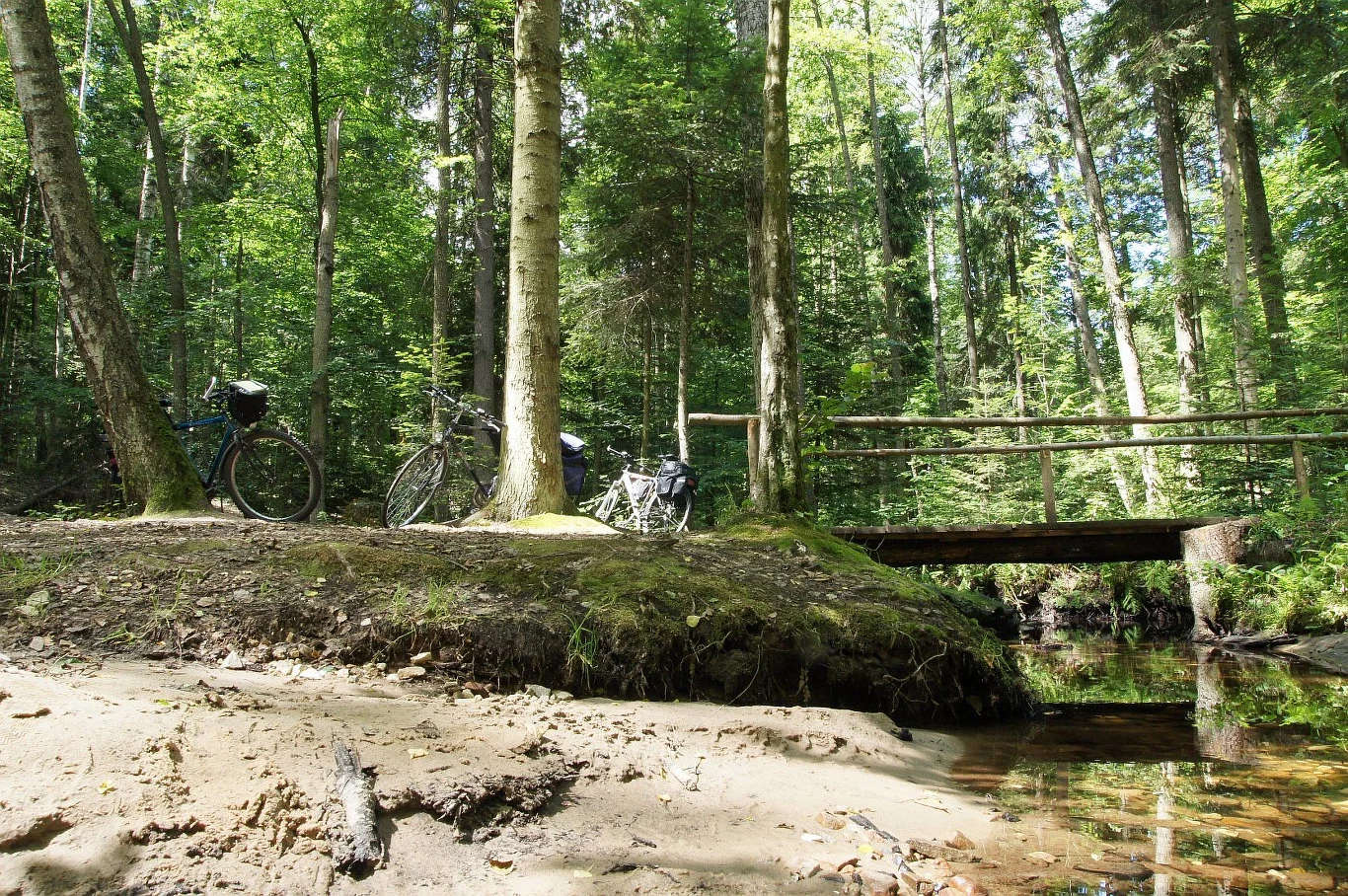 dwa rowery oparte o drzewo na leśnej polanie przy drewnianym mostku nad płytkim strumieniem, otoczone gęstym lasem i jasnym światłem słonecznym przenikającym przez liście