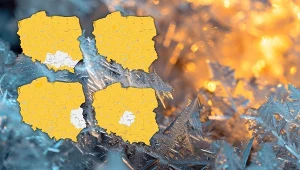 Prze najbliższe cztery dni przymrozki opanują praktycznie całą Polskę - wynika z prognoz ostrzeżeń IMGW