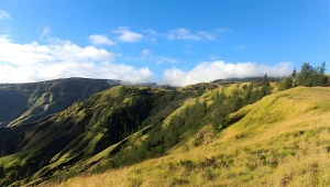 Zbocze wulkanu Tambora