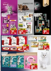 Oferta handlowa Hala Wola