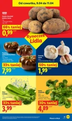 Pełen koszyk w dobrej cenie – Lidl