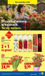 Pełen koszyk w dobrej cenie – Lidl