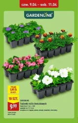 Smacznie i w dobrej cenie – ALDI