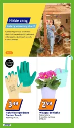 Niskie ceny, wielkie okazje – Action