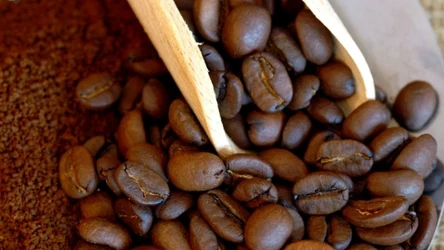 Na co zwracać uwagę przy zakupie kawy ziarnistej? 