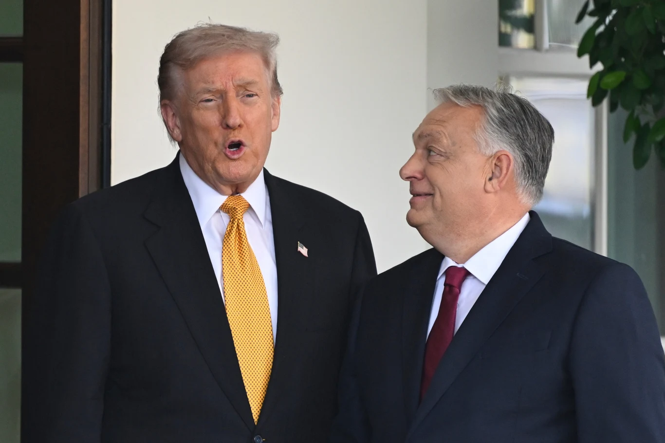 Donald Trump wita Viktora Orbana w Białym Domu 7 listopada 2025 r. w Waszyngtonie