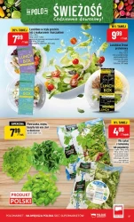 Świeże zakupy w dobrej cenie – POLOmarket