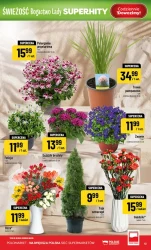 Świeże zakupy w dobrej cenie – POLOmarket