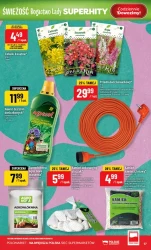 Świeże zakupy w dobrej cenie – POLOmarket