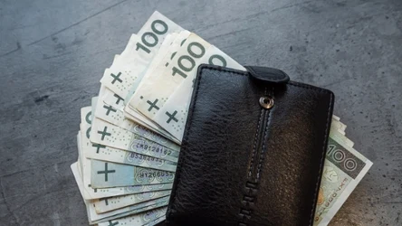 Co włożyć do portfela, by mieć powodzenie w finansach? Nasi przodkowie mieli na to prosty trik. 