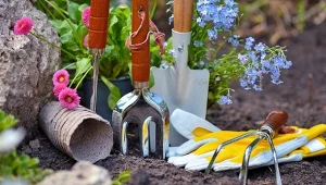 Wiosenne porządki w ogrodzie? Netto obniża ceny narzędzi nawet o 30%