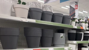 Lidl wprowadza hit na balkon. Te doniczki szybko odmienią przestrzeń