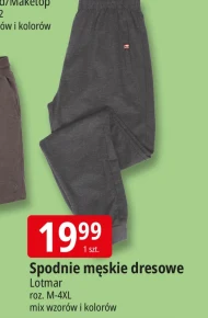 Спортивні штани Lotmar