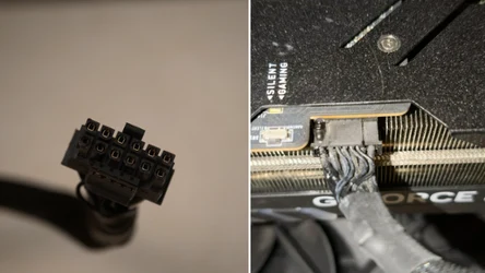 Bohaterski kot zrobił coś niezwykłego. Uratował gracza w skrajnej sytuacji