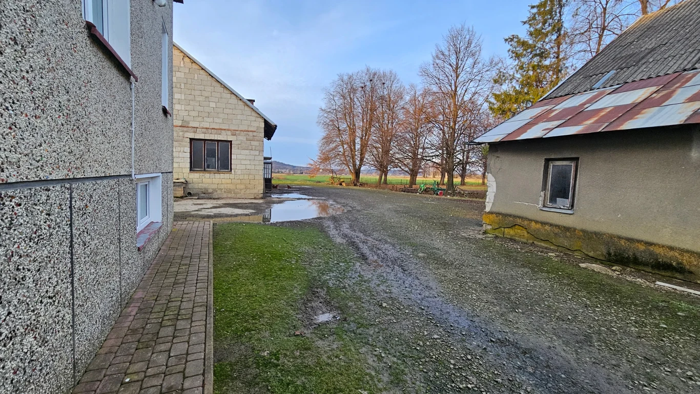 Wzdów. Gospodarstwo Grzegorza Władyki Podwórko otoczone dwoma budynkami gospodarczymi, z utwardzoną ścieżką i kałużami na ziemi, w tle rząd nagich drzew oraz widoczny krajobraz pól.