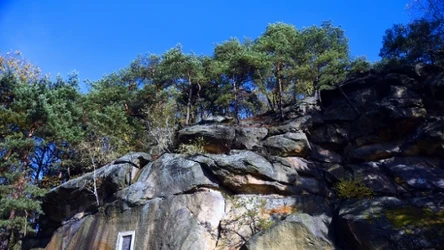 Niezwykła atrakcja w Małopolsce. Ten rezerwat warto odwiedzić wiosną. 