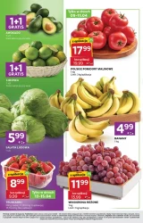 Kup i spróbuj - Stokrotka Express