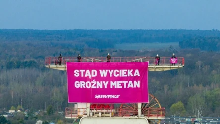 Protest aktywistów Greenpeace