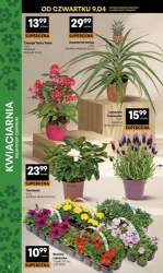 Wielka moc nagród - Delikatesy Centrum