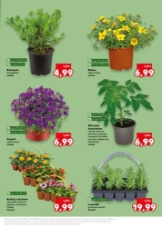 Wiosenne inspiracje - Kaufland