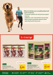 Dla Twojego pupila – Maxi ZOO