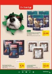 Dla Twojego pupila – Maxi ZOO