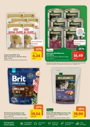 Dla Twojego pupila – Maxi ZOO