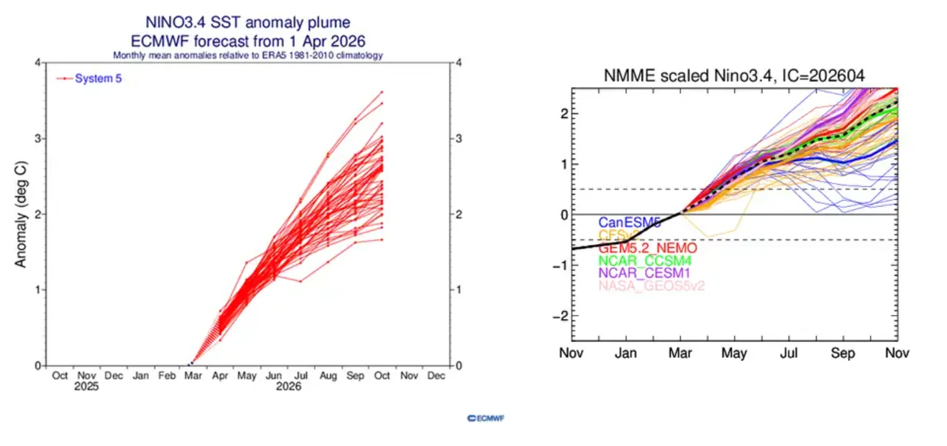 Dwa wykresy liniowe ilustrują anomalie temperatury powierzchni morza w regionie NINO3.4, pokazując prognozy modeli klimatycznych do końca roku 2026; po lewej stronie liczne czerwone linie wskazują prognozy ECMWF, po prawej wielokolorowe linie przedstaw...