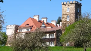 Zapomniana rezydencja i bajkowy park. Co zobaczyć w pałacu w Janowicach? 