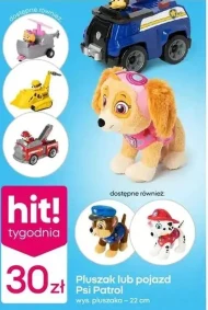 Транспортний засіб Psi Patrol