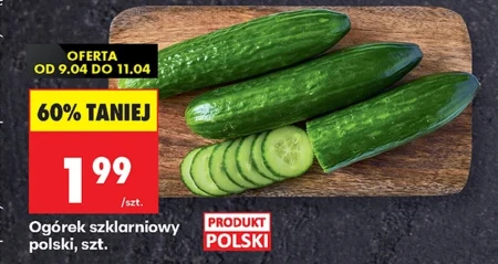 Огірок Polski