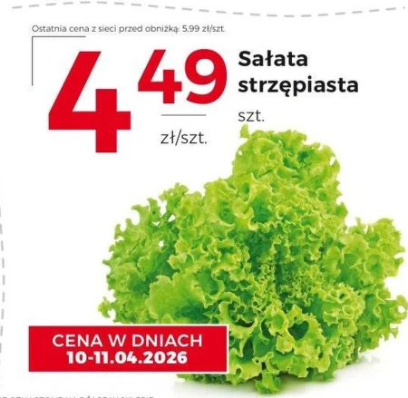 Салат-латук