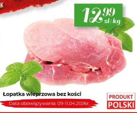 Безкісткова лопатка Data