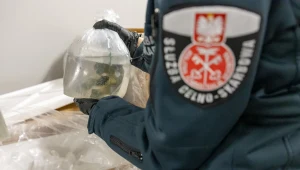 KAS zatrzymała przemyt 1,5 tony rafy koralowej