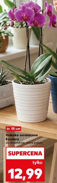 Обкладинка