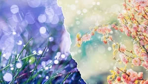 Przełom kwietnia i maja może być dość chłodny oraz deszczowy - wynika z prognozy długoterminowej IMGW