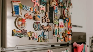 Pożerają prąd i powodują awarie? Cała prawda o magnesach na lodówce