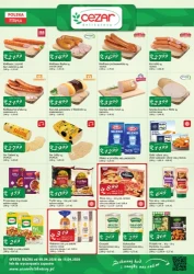 Festiwal fit - Delikatesy CEZAR