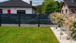 Mech zniknie bez śladu. Proty plan odbuduje trawnik krok po kroku 