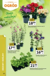 Relaks w dobrej cenie – Auchan Hipermarket