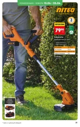 Hity i inspiracje – Biedronka