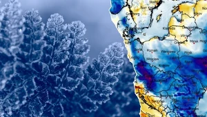 Spory mróz po zmroku, potem sytuacja się powtórzy. Pogoda ze słabą wiosną