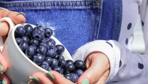 Kwiecień to kluczowy moment! Sprawdź, co zrobić, by borówki obrodziły